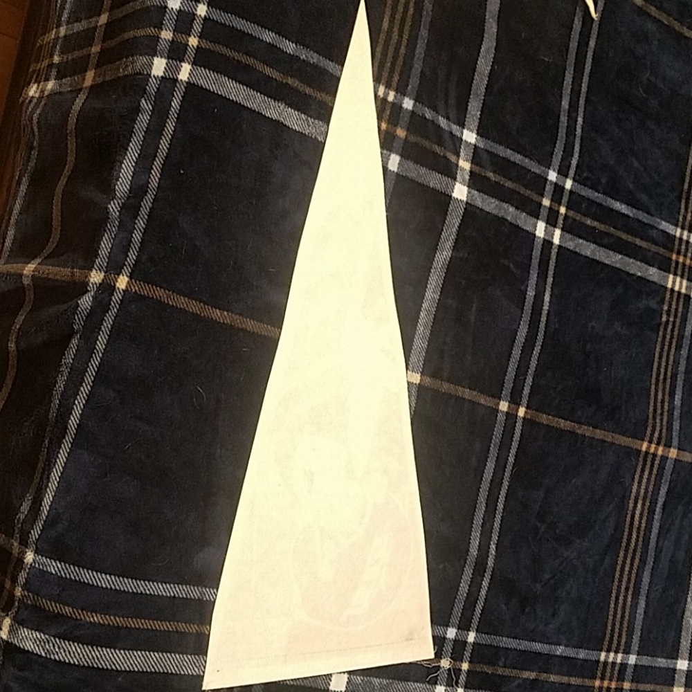 Pennant - Picture 3 of 3